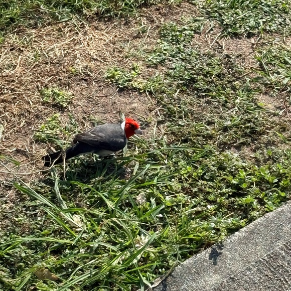 COME JOIN US FOR SWAGFEST 2025 - Picture 10 of 17